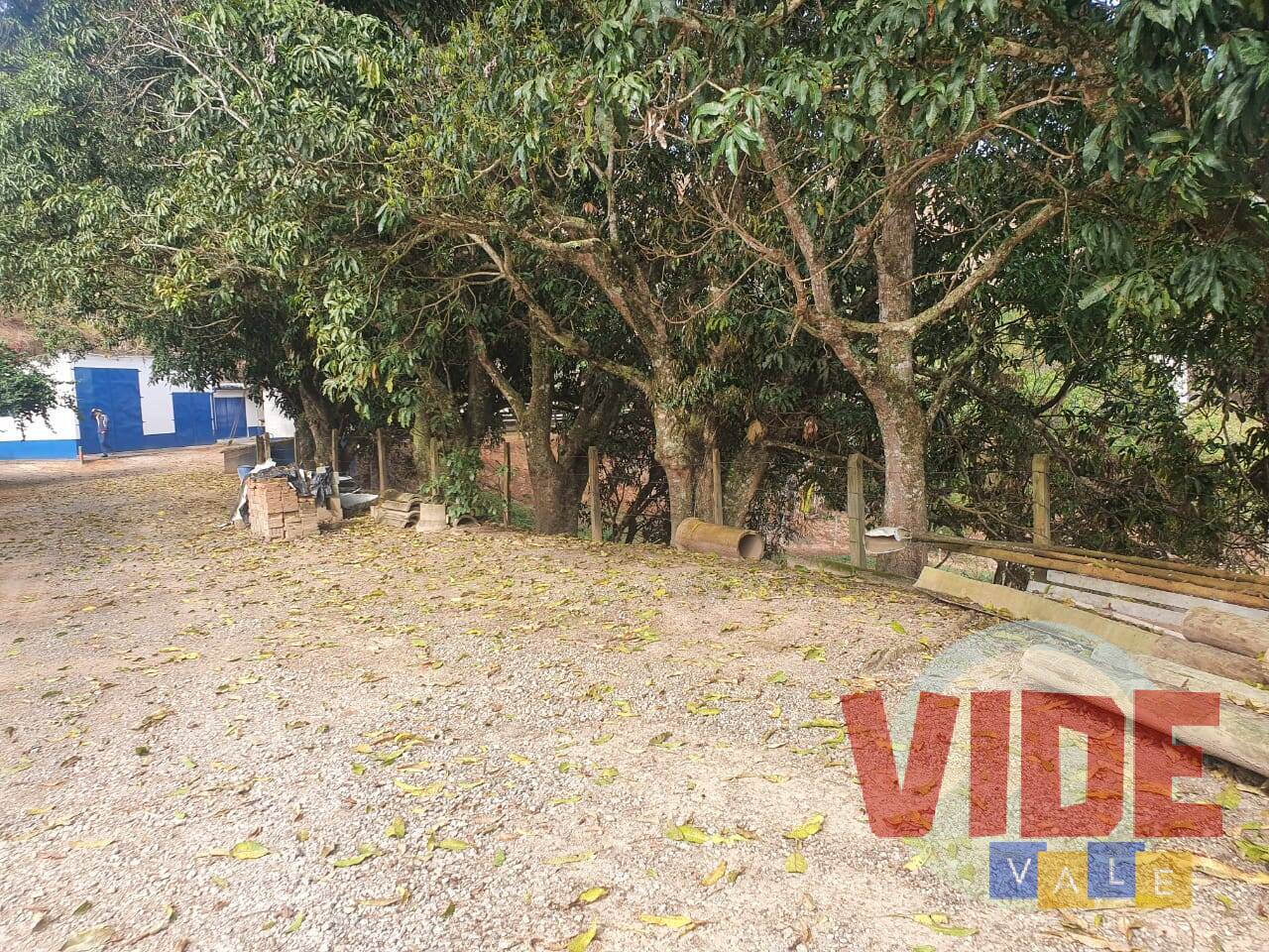 Fazenda à venda com 2 quartos, 21m² - Foto 8